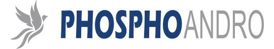 phosphoandro.com