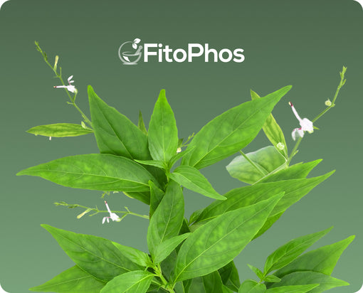 FitoPhos